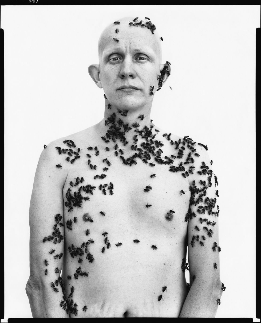 Rodarte designers Laura and Kate Mulleavy were "fascinated" by this 1981 portrait of California beekeeper Ronald Fischer, for its "depiction of humanity and nature within the constraints of formal portraiture." They said: "The bees bring with them a looming possibility of danger, and Avedon controls that fear by capturing the brief yet calculated moment within the carefully constructed portrait."