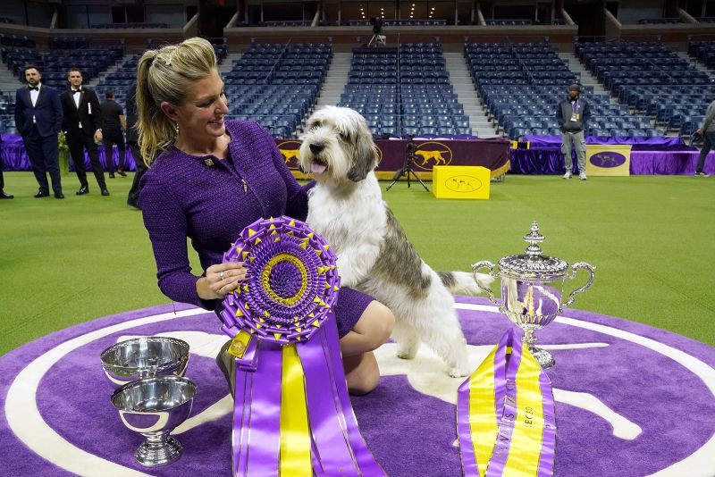 Westminster dog hot sale show prizes