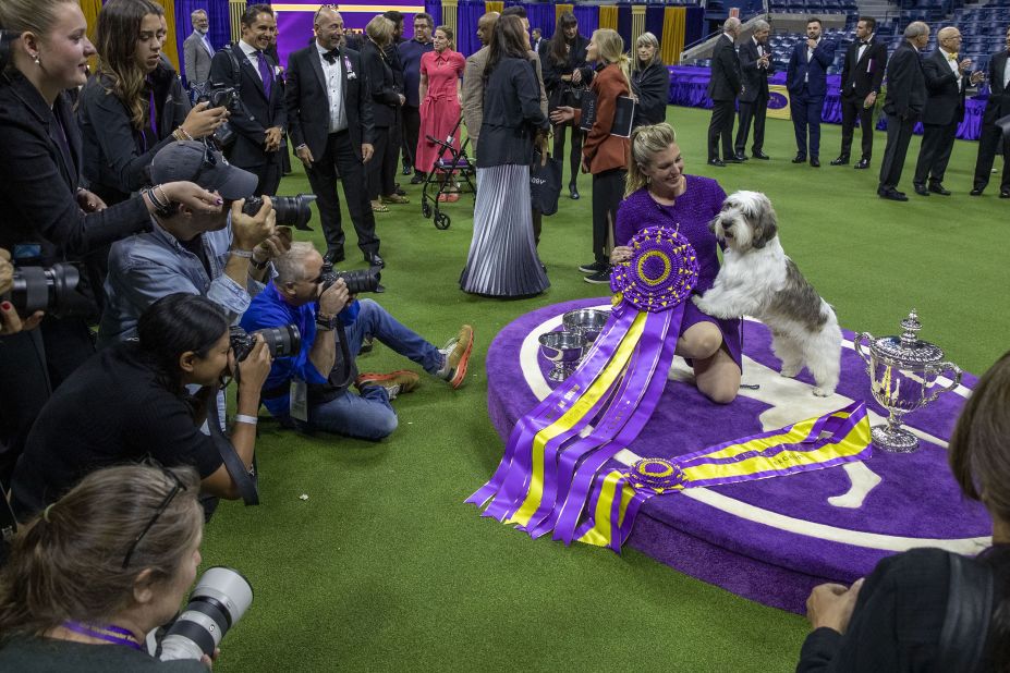 Buddy Holly, the petit basset griffon Vendéen, poses with his handler, Janice Hayes, after winning best in show at the Westminster Kennel Club Dog Show on Tuesday, May 9.