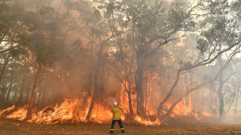 Australia's colossal bushfires likely made La Niña worse, study finds