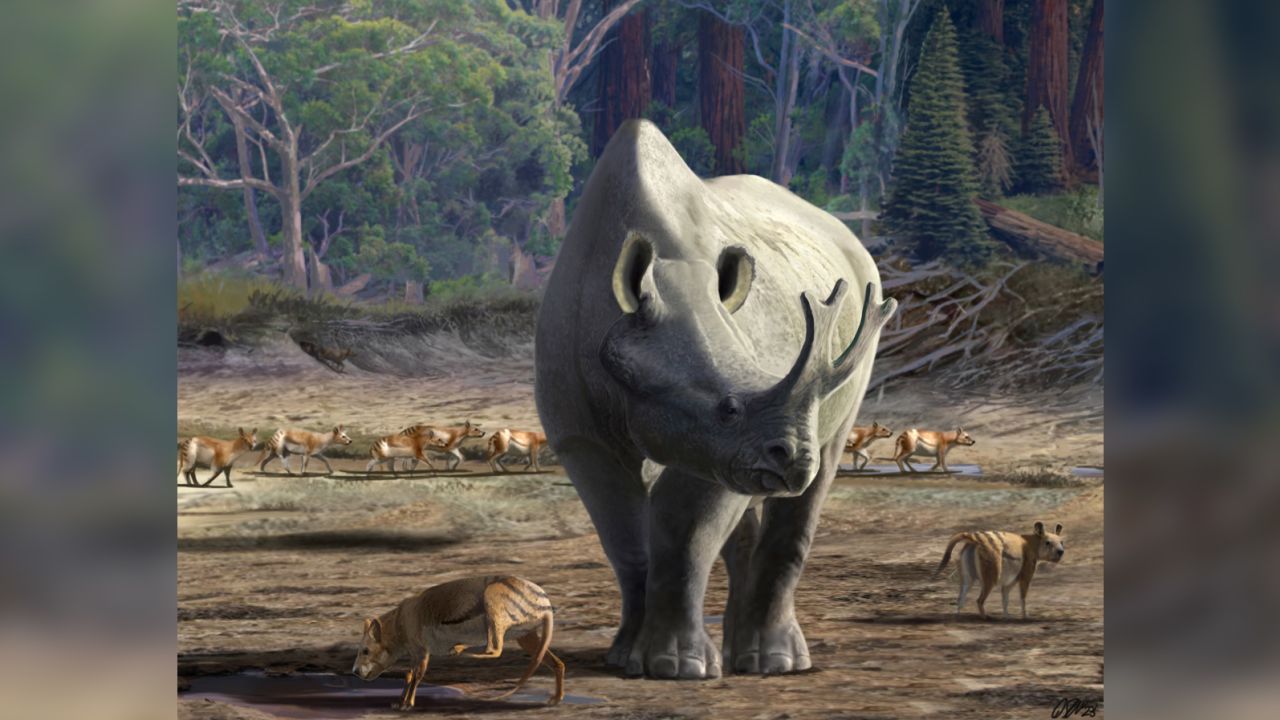 Enormous brontotheres such as Megacerops kuwagatarhinus once roamed parts of North America. 