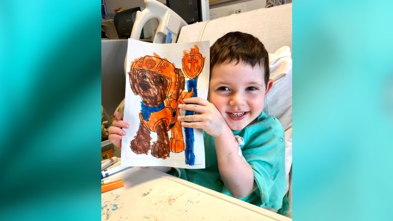 NextImg:Families facing rare muscle disease are pushing for an experimental gene therapy, but the FDA is skeptical | CNN