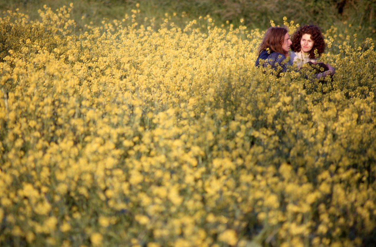 3 Couple in yellow field