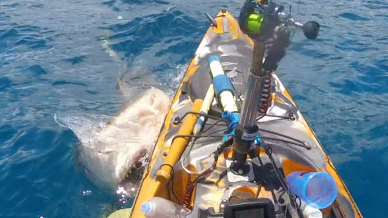 Kayaker in Hawaii gets frightening surprise while fishing | CNN
