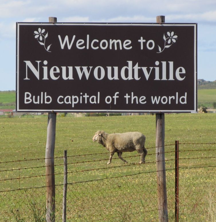 <strong>Old town:</strong> Located in the Northern Cape, Nieuwoudtville was founded in 1897 by a farmer named Nieuwoudt.