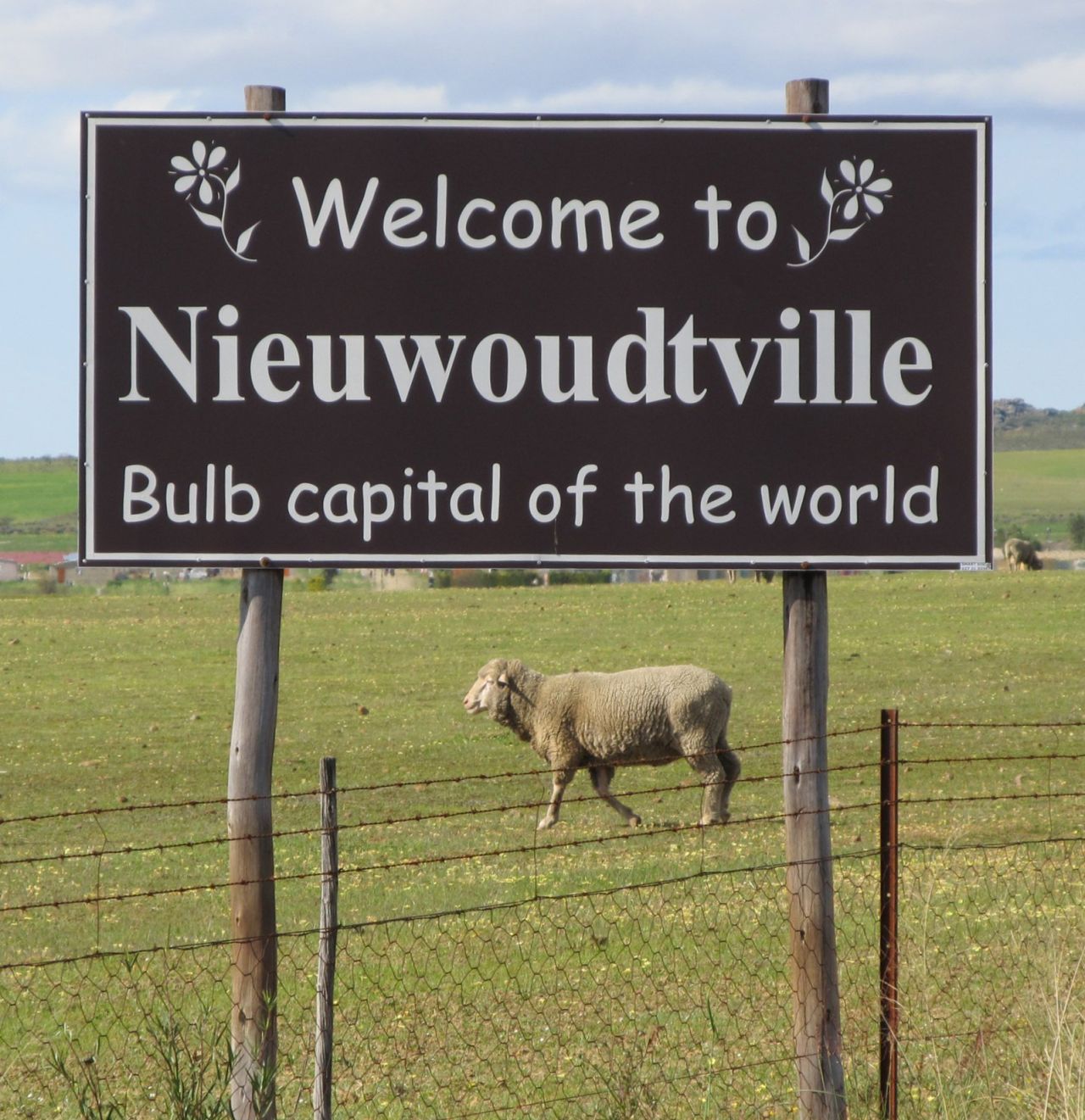 <strong>Old town:</strong> Located in the Northern Cape, Nieuwoudtville was founded in 1897 by a farmer named Nieuwoudt.