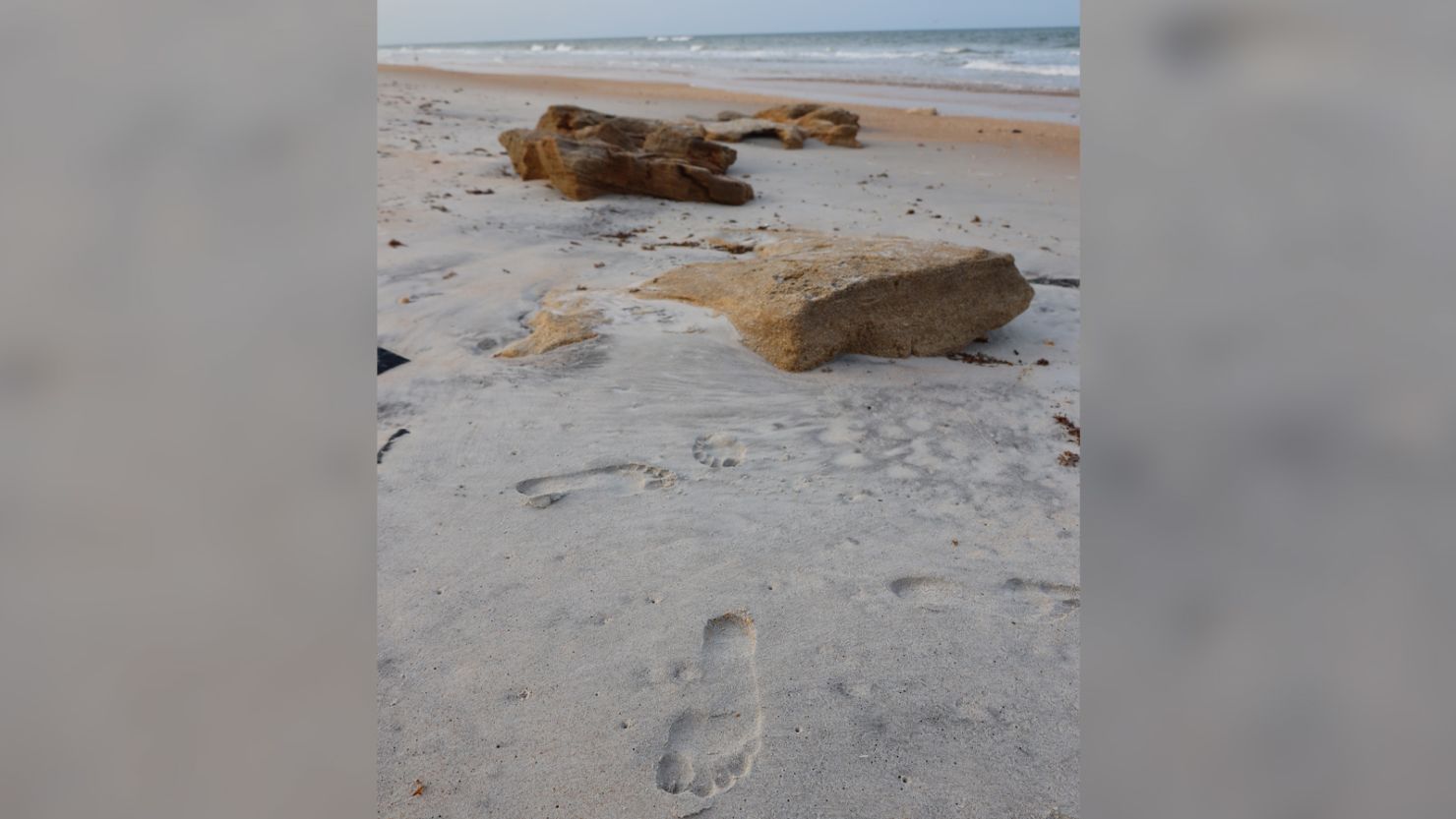 Human DNA was recovered from a footprint on a Florida beach.