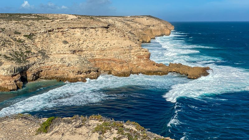 NextImg:Teacher feared dead after shark attack off South Australia | CNN
