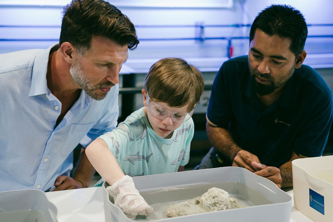 <strong>Marine Discovery Centre:</strong> In this center, visitors learn about the importance of sustainable ocean practices. An onsite coral propagation nursery offers a hands-on experience that gives broken pieces of coral a second chance at life.