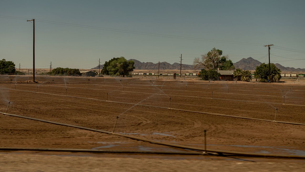 A field is irrigated on Quechan tribal land in Yuma, Arizona, on April 4, 2023.