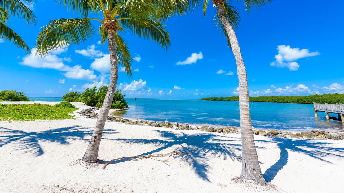 Sombrero Beach with palm trees on the Florida Keys, Marathon, Florida, USA. Tropical and paradise destination for vacation. Relaxing at beach.