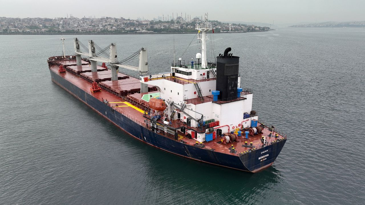 Un barco de granos espera su inspección en Estambul, Turquía, el 17 de mayo.