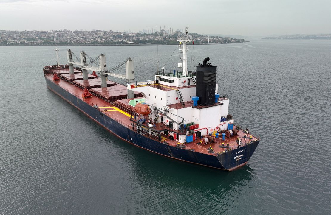 A grain ship awaits inspection in Istanbul, Turkey, on May 17.