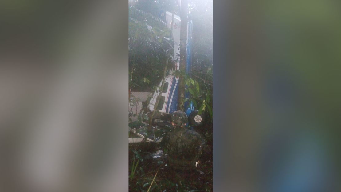 The small Cessna airplane crashed in Colombia's southern region of Guaviare over two weeks ago. 
