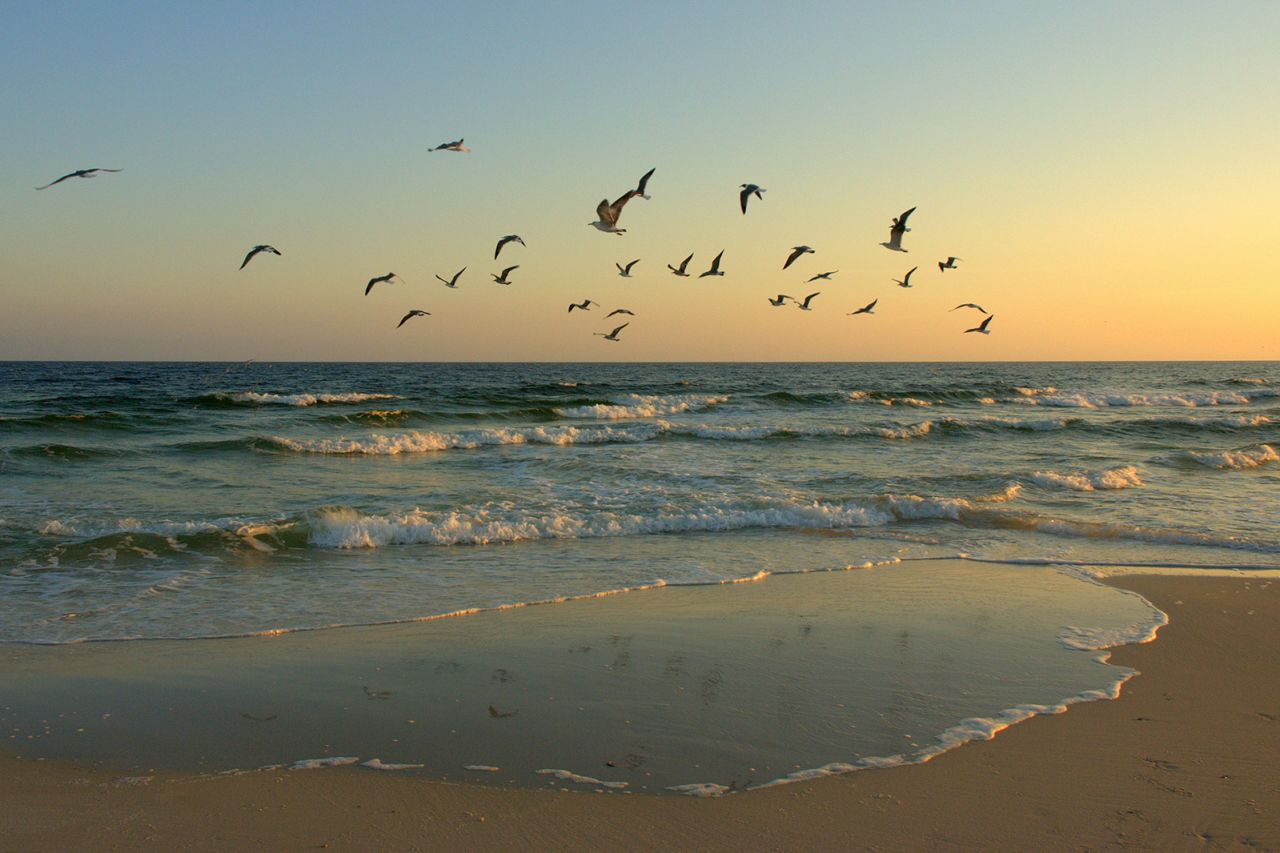 <strong>1.  George Island State Park, Florida:</strong>Bãi biển số 1 ở Hoa Kỳ, nằm trên Vịnh Mexico, có hàng sóng cát nguyên sơ.
