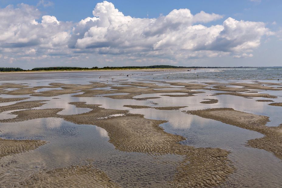 <strong>8. Beachwalker Park, Kiawah Island, South Carolina:</strong> This public beach is located on the southern end of Kiawah Island.  <br />