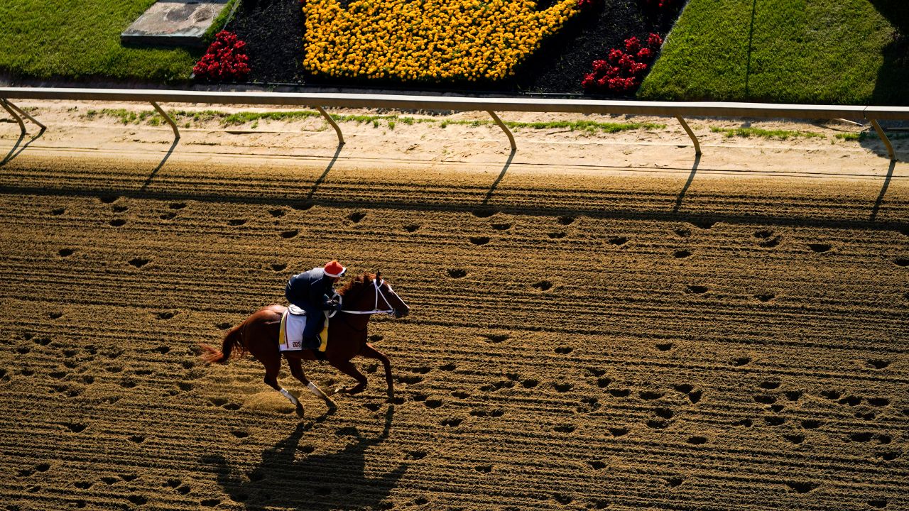 Kentucky Derby winner Mage is the favorite for Saturday's race. 