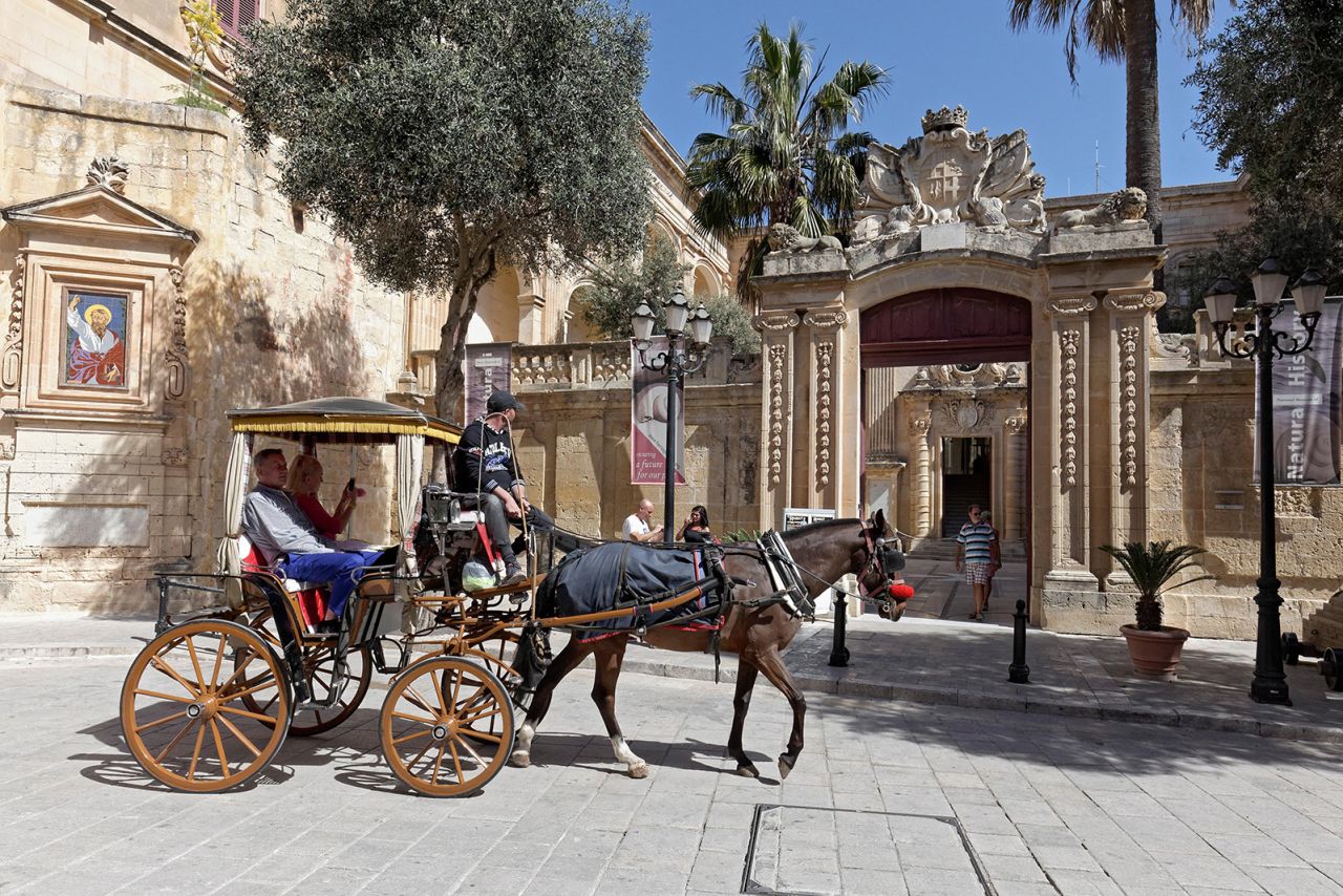 Mdina's natural history museum sits in the 18th-century Palazzo Vilhena.
