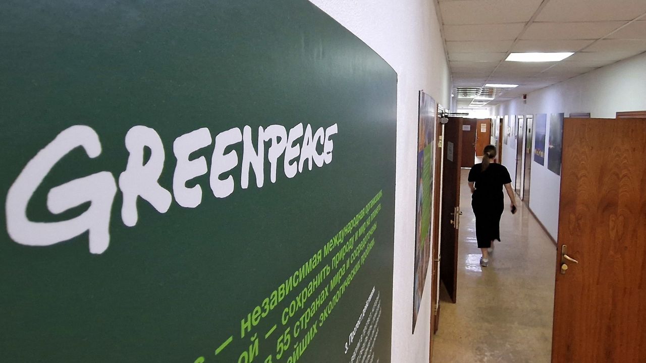 The office of the Russian branch of environmental group Greenpeace in Moscow on May 19, 2023.