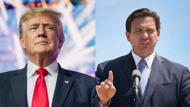 Watch: Ron DeSantis will learn this lesson when he fails to close the gap with Donald Trump supporters, says analyst | CNN Politics