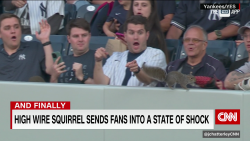 exp squirrel yankees fans  052409ASEG2 cnni world_00002123.png