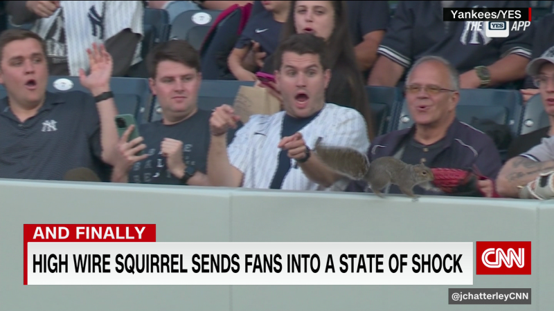 High wire squirrel surprises fans | CNN