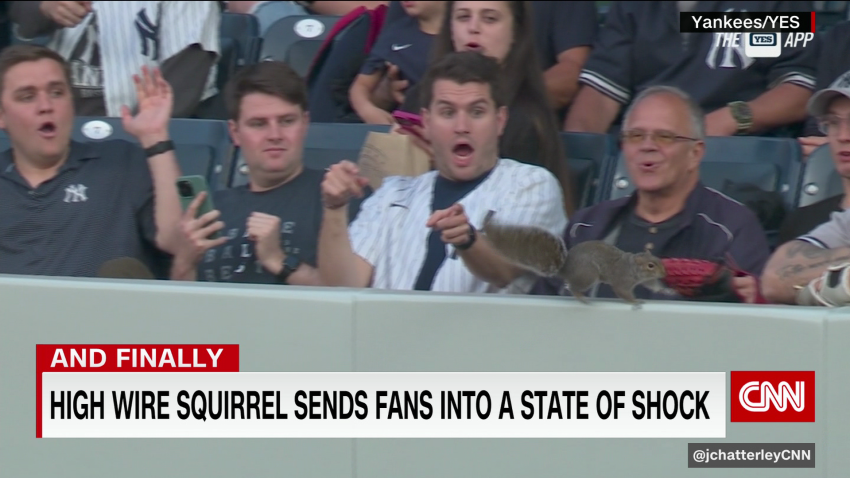 exp squirrel yankees fans 052409ASEG2 cnni world_00002123.png