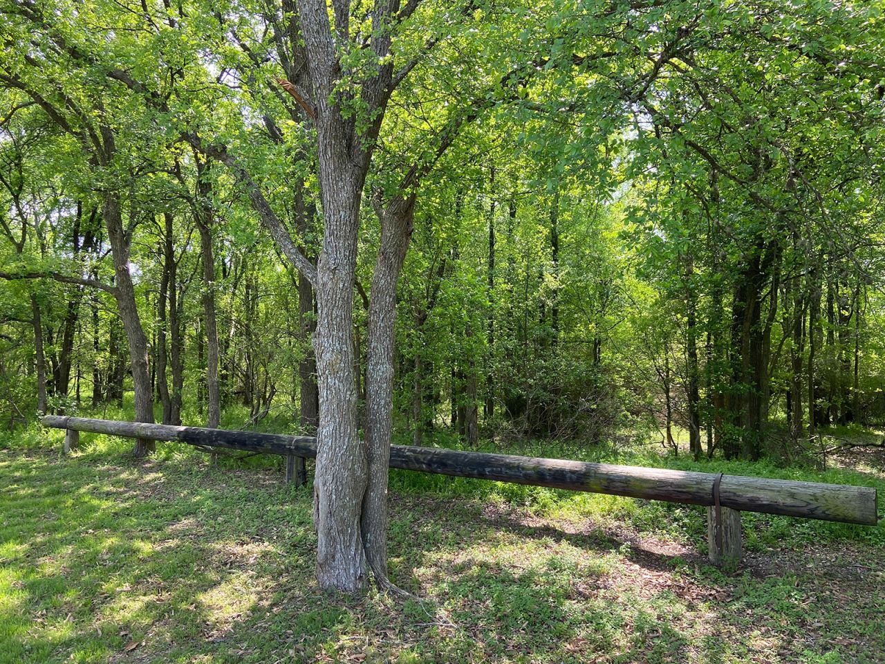 Walter E. Long Metropolitan Park
