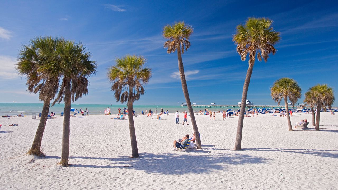 BF27HW Palm trees at Clearwater Beach under blue sky, Tampa Bay, Florida, USA