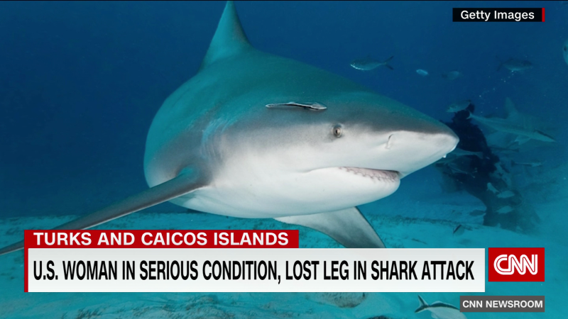 American woman loses leg in shark attack | CNN