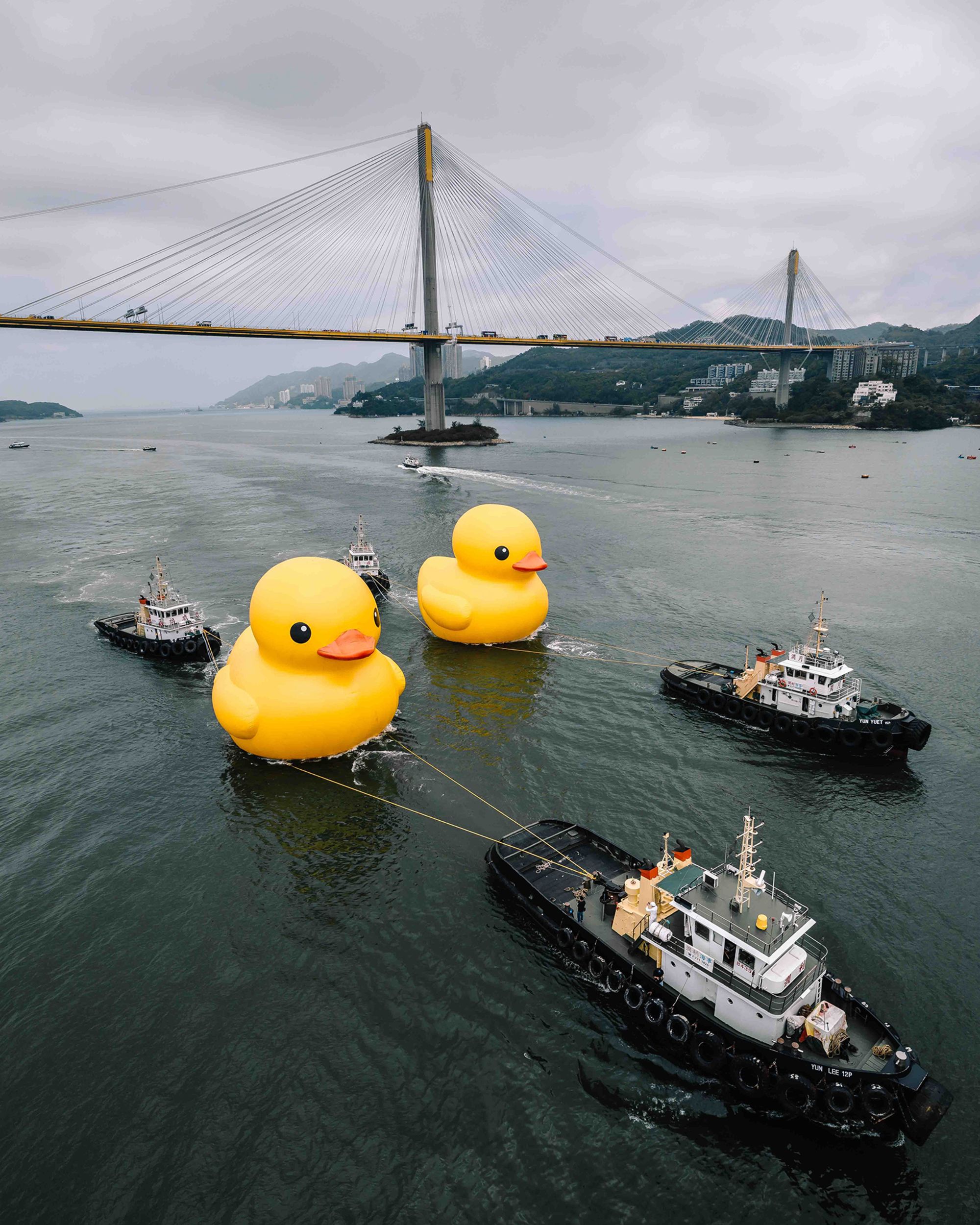 A pair of giant rubber ducks are seen in Hong Kong on May 25, 2023.