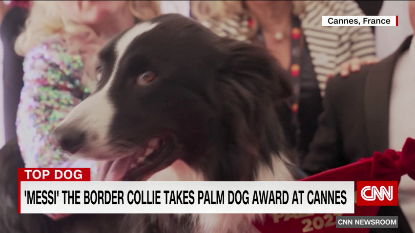 exp Cannes Palm Dog Award 052702ASEG2 CNNi World_00002001.png