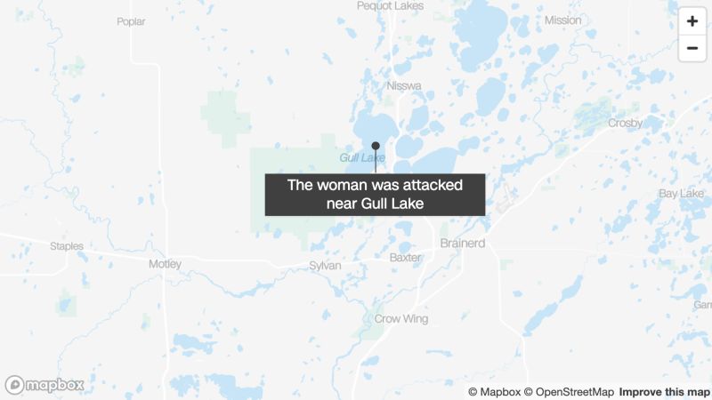 NextImg:Woman seriously injured in black bear attack in Minnesota, officials say | CNN
