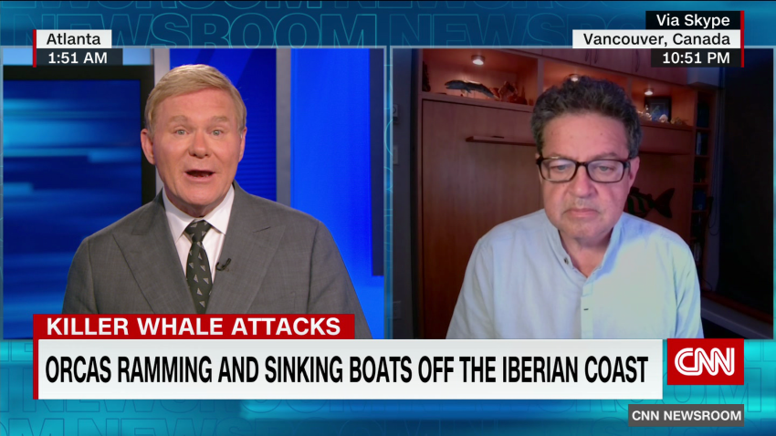exp Orcas Attack Boats Spain Trites INTV 052901ASEG1 CNNi World_00002001.png