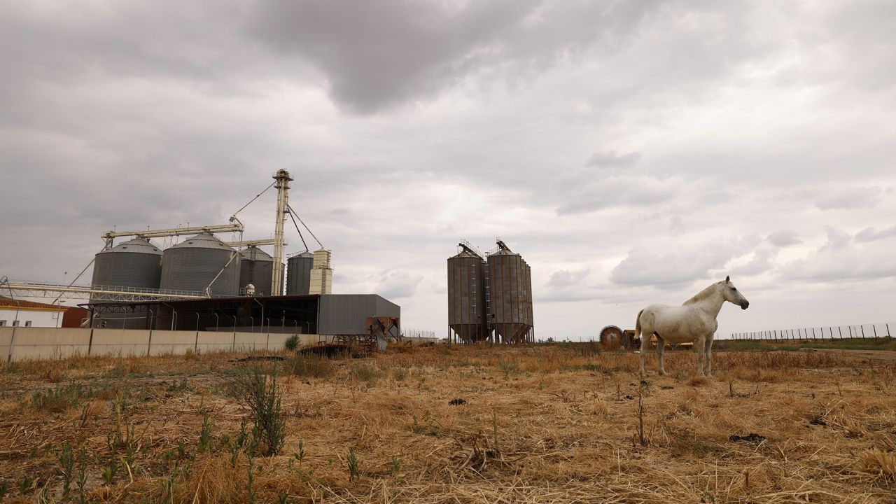 Rice silos on May 22, 2023 in Isla Mayor, Spain. Some 60% of the Spanish countryside has been affected by drought, causing crop failures and food shortages.