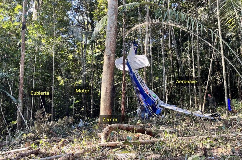 How could four children survive a plane crash in the Amazon? A new