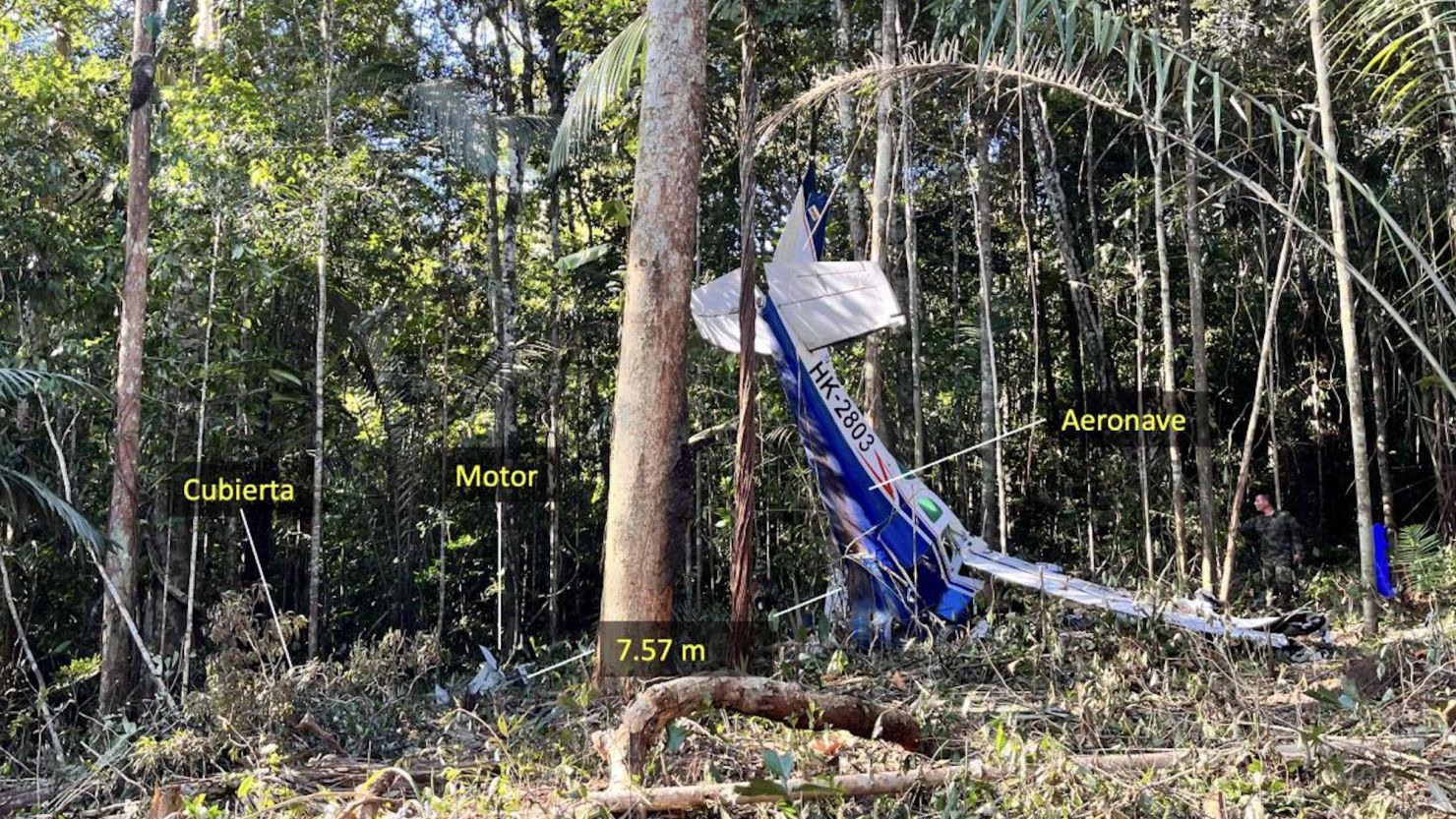 Investigators' photos of the crash scene show the raised tail of a small plane painted in still-crisp blue and white, its nose and front smashed into the jungle terrain.