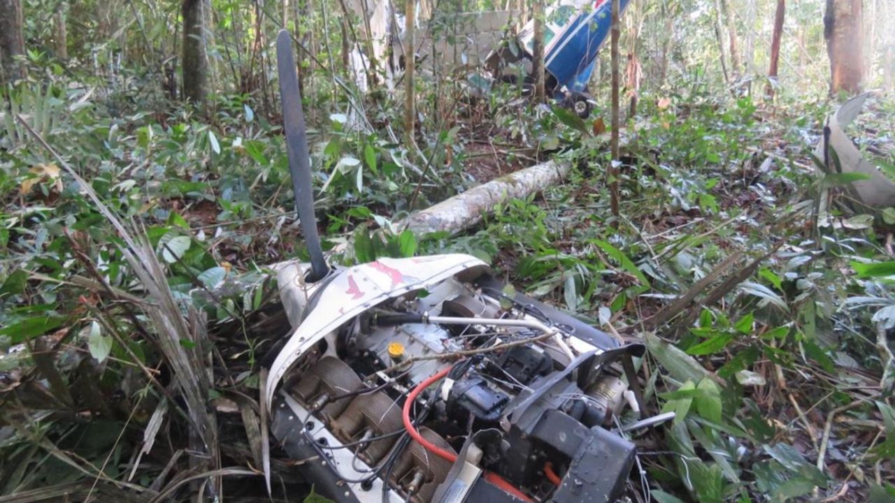 The impact against the trees caused the separation of the engine and propeller from the aircraft structure, according to the report.