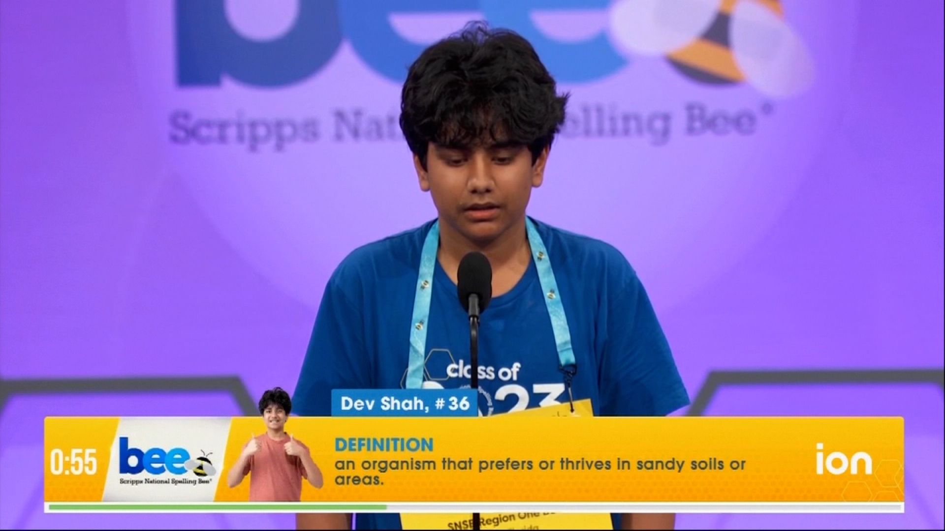 national spelling bee logo