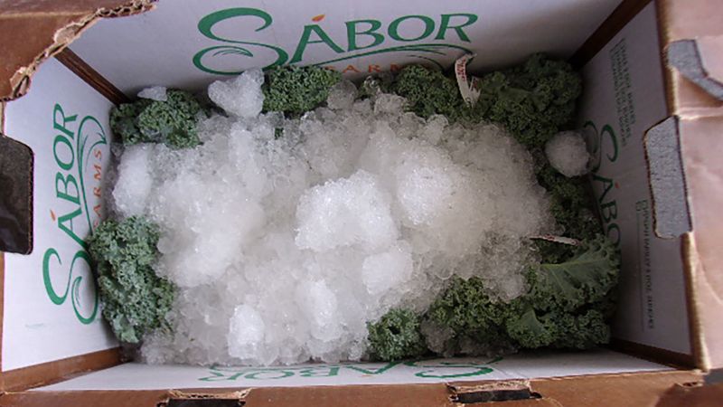 NextImg:Border protection officers bust man with $38 million worth of meth hidden in kale shipment | CNN