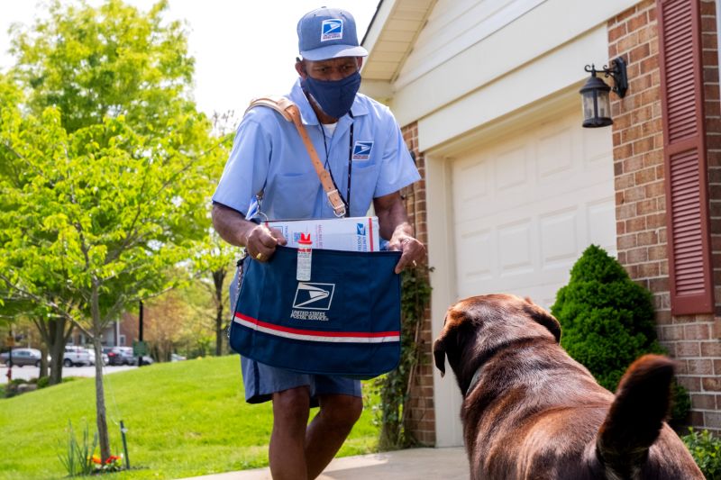 Dog clearance biting costume