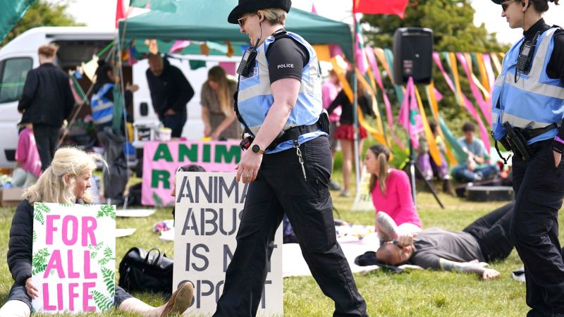 NextImg:Police make 19 arrests as animal rights protesters plan to disrupt Epsom Derby | CNN