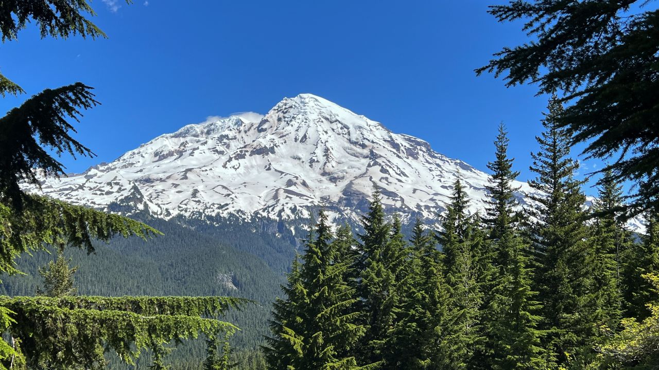 Mount Rainier in Washington state rises more than 14,000 feet above sea level.