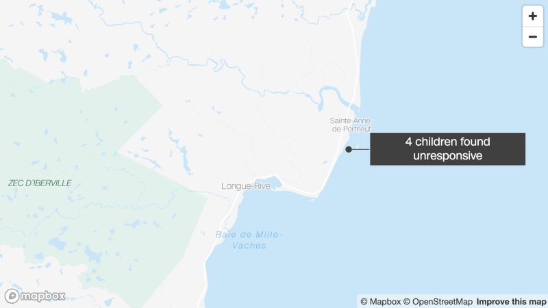 NextImg:4 children dead after getting caught in tide while fishing in Quebec, police say | CNN
