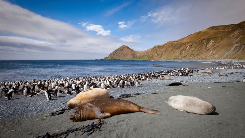 Australia to triple size of protected marine park to area larger than Germany