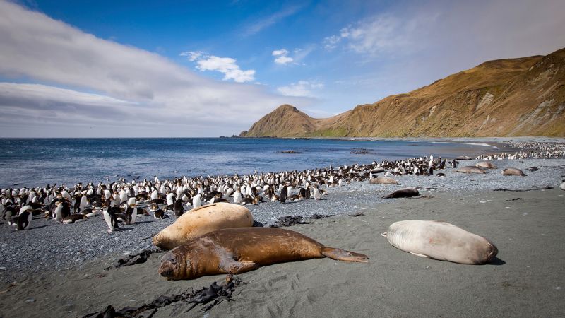 NextImg:Australia to triple size of protected marine park to area larger than Germany | CNN