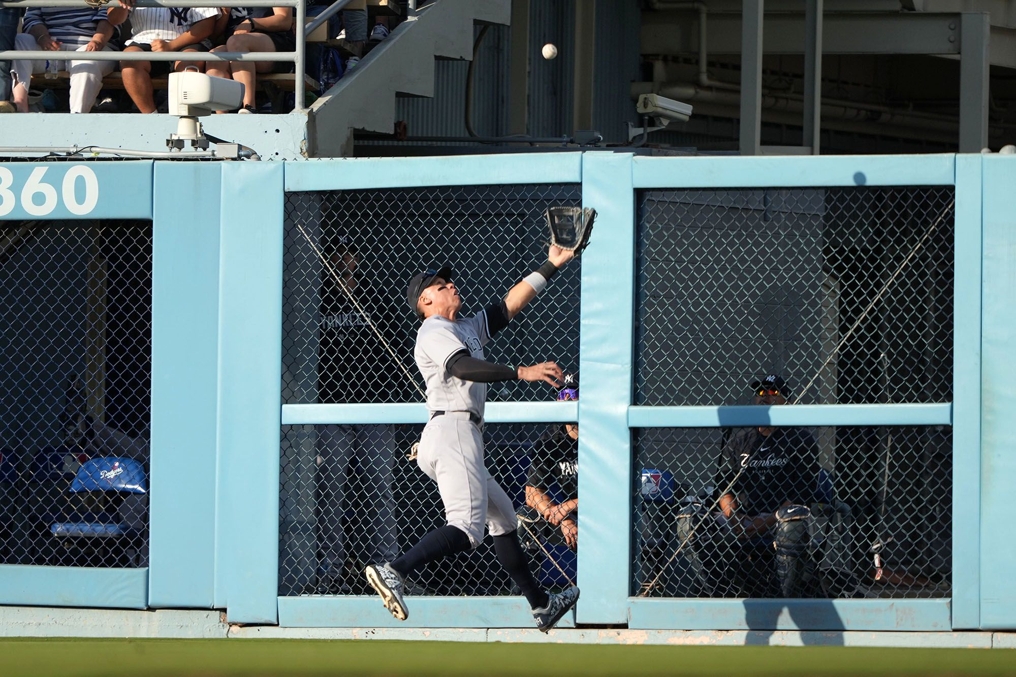 Aaron Judge crashes through door to make potential MLB catch of the year, New York Yankees