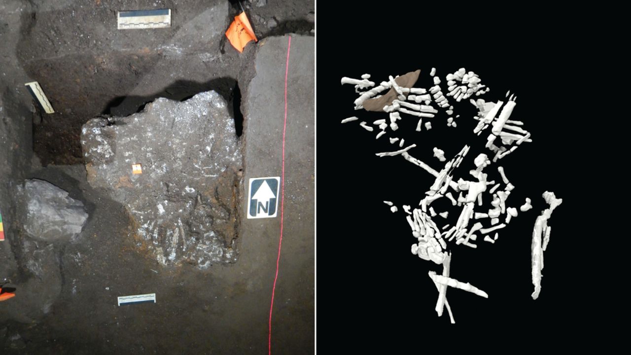 Homo Naledi Buried Their Dead 100000 Years Before Humans Cnn 5096