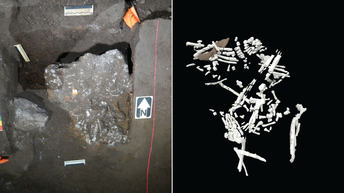 Figure 2:  The Hill Antechamber feature containing the remains of at least four Homo naledi children. One child (main skeleton illustrated on right in the CT reconstruction) is approximately 13 years old in human terms. There is a very young child (not illustrated and visible only on Synchrotron scans) also in the feature and the faces of two other very young children are also found in the grave. Images from Berger et al., 2023.