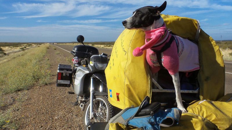 This couple are riding around the world with three rescue dogs